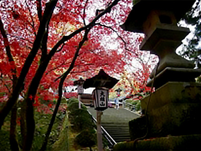 Daiyuzan Saijoji Temple