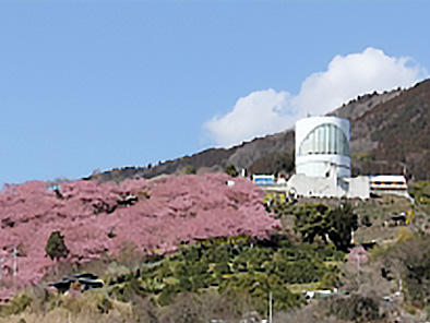 Matsudayama Herb Garden